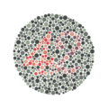 Ishihara Plate No. 23 (42)