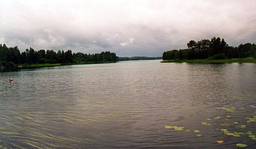 Tammijärvi uzda