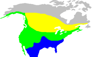 Natura arealo; flave nursomera teritorio, blue nurvintra kaj verde la tutan jaron