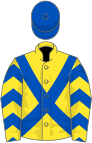 Yellow, royal blue cross belts, royal blue and h chevrons on sleeves, royal blue cap