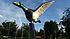 Mallard duck sculpture in Andrew, Alberta : 23 Foot (7.2 Metre) Wingspan. Weighs 1 tonne.