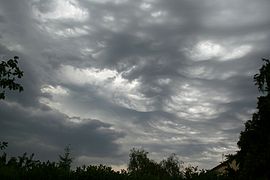 Stratocumulus lacunosus