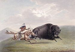 Image illustrative de l’article Bison (roman)