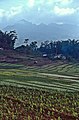 Mt.Butak und Mt.Kawi (Vulkanreservat)