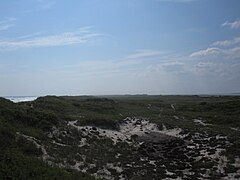 View of the dunes