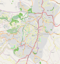 Mapa konturowa Jerozolimy, blisko centrum po lewej na dole znajduje się punkt z opisem „Stadion Teddy”