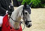 Silvana, lors du Grand Prix Coupe du monde d'Equita'Lyon en 2012.