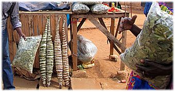 Vente au bord de la route (Sénégal)