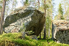 Deux blocs erratiques sur des mousses avec en arrière-plan une forêt de conifères.