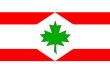 Vlag