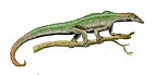 Megalancosaurus preonensis