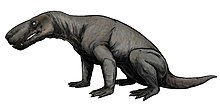 Life restoration of a gorgonopsian