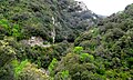 Les gorges près de Montjoi