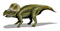 Perotokeratopa Protoceratops