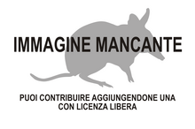 Immagine di Yarala mancante