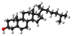 ▵ Molecuulmodel van cholesterol