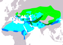 Distribución de Falco cherrug