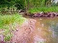 Image 32Humid wetland in Pennsylvania before a rain (from Wetland)