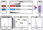 Thumbnail for Isobaric labeling