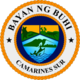 Official seal of Buhi