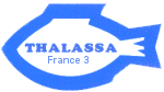 1er logo, du 4 janvier 1980 au 27 août 1992