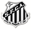 Logo du Santos FC