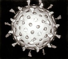 Ing Rotavirus