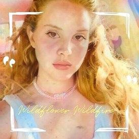 Обложка сингла Ланы Дель Рей «Wildflower Wildfire» (2021)